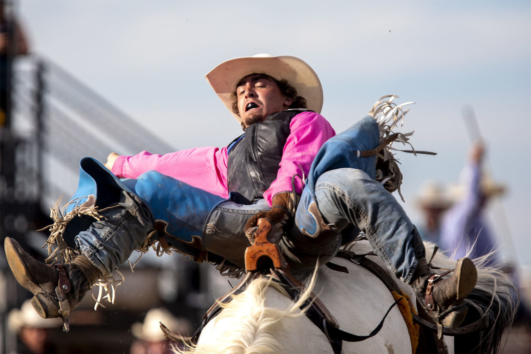 Rodeo gallery